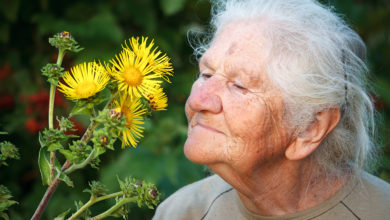 Koku Alma Bozuklukları Alzheimer'ın Habercisi Olabilir 4