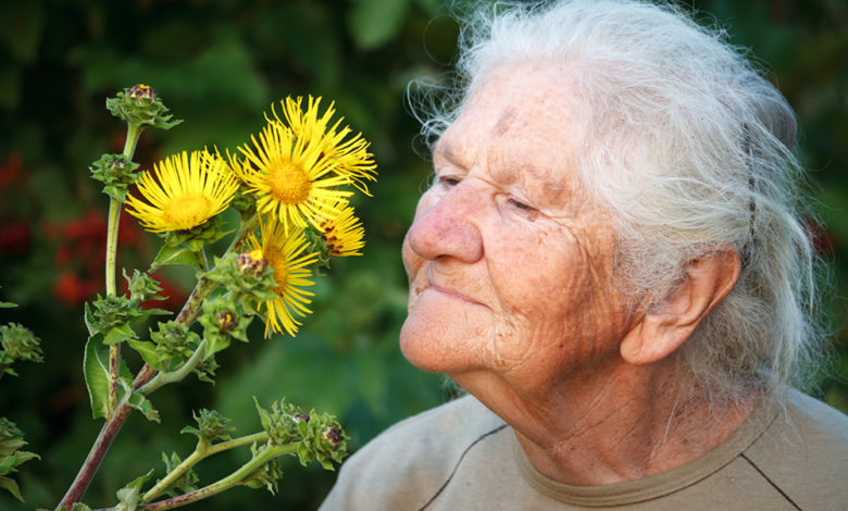 Koku Alma Bozuklukları Alzheimer'ın Habercisi Olabilir 3
