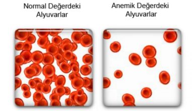 Demir eksikliği anemisi (DEA) 10