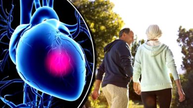 Yaşantınızı kalbinize uydurun 1