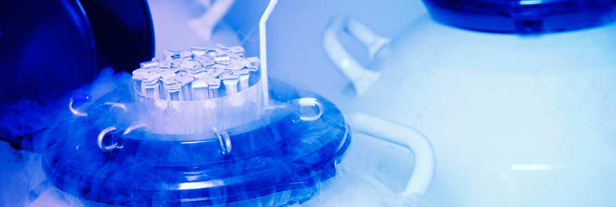 Sperm ve Embriyo Dondurma 1