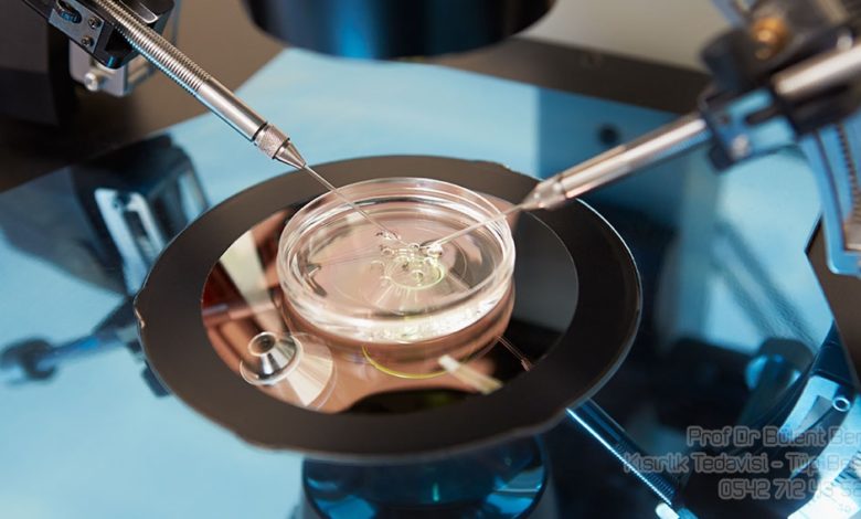 Biri Bizi Gözetliyor 19