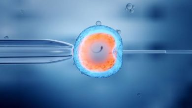 Tüp Bebek Hakkında Sık Sorduklarınız 11