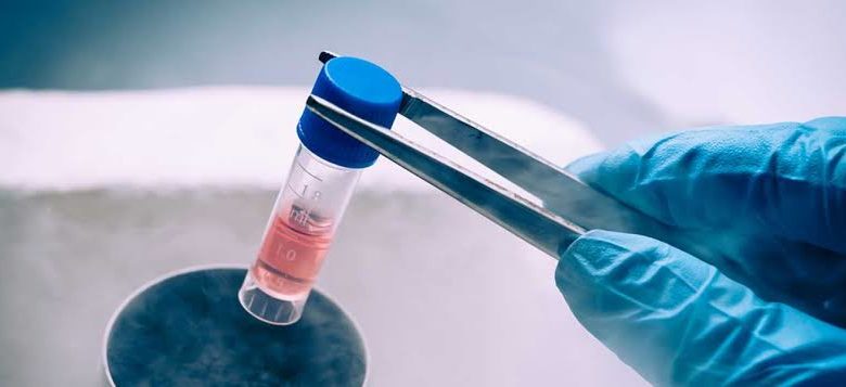 Anne Olmak İsteyen Kadınlara Kök Hücre Nakli Müjdesi 17