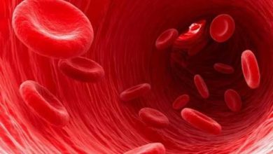 Pıhtılaşma Bozukluğuna Bağlı Kanamalar 10