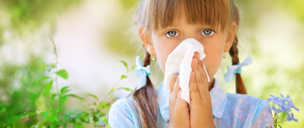 Allerjik Hastalıklar Neden Çok Yaygın ? 7