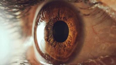 Vitrektomi Nedir? 19