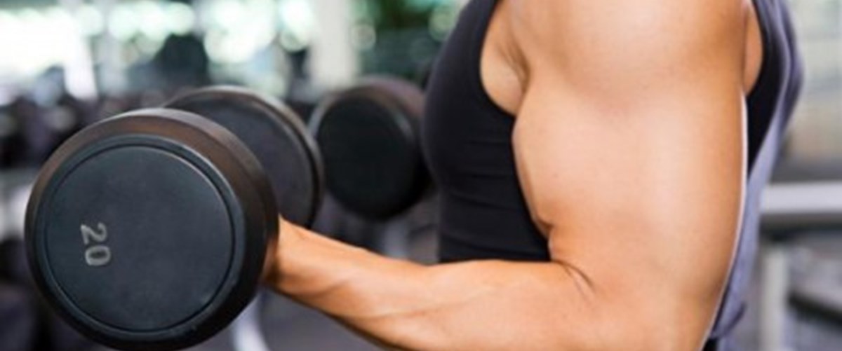 Sağlıklı kas ve kemikler için proteini ihmal etmeyin! 1