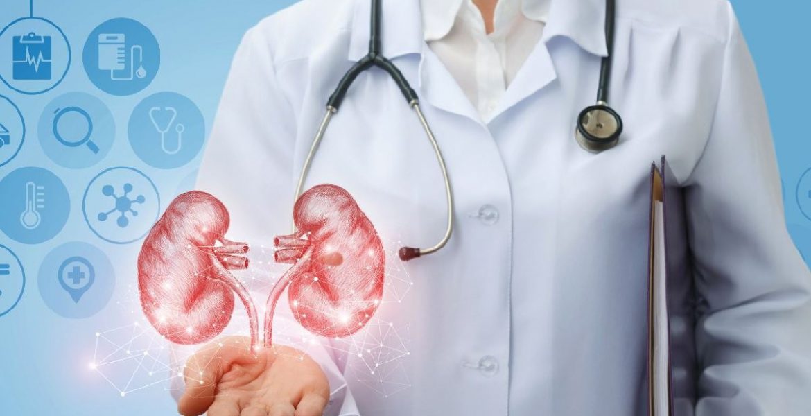 Böbreklerin görevleri - böbrek nakli 7