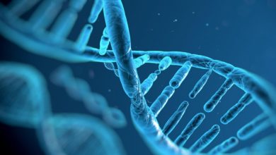 Koryon villüs örnekleme (cvs) nedir? 1