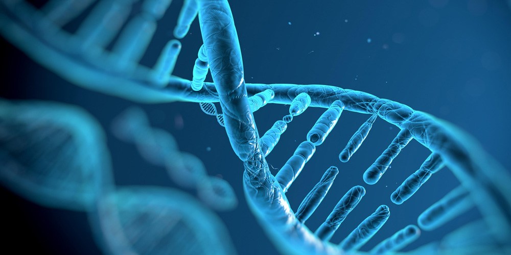 Koryon villüs örnekleme (cvs) nedir? 7