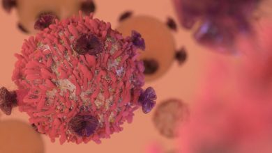 Lenfatik sistem, çocuk ve erişkinlerde lenf bezi büyümesi değerlendirilmesi 31