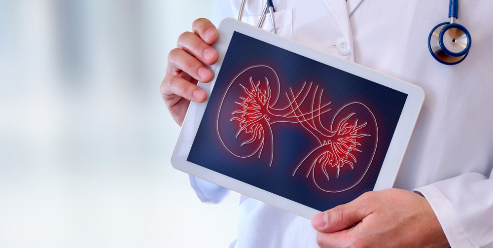 Böbrek kanseri nedir, kimler risk altında? 7