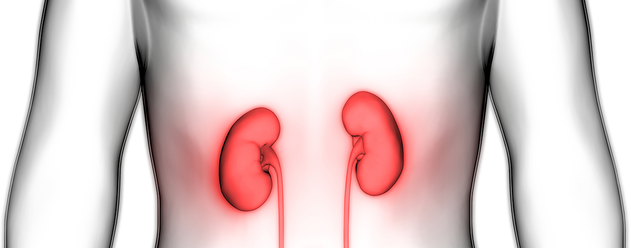 Böbrek tümörü tedavisi nasıl olmalı? 7