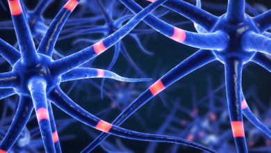 Epilepsi hakkında 8