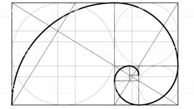 Yüz analizinde pi- altın oran değerlendirme yöntemi 3