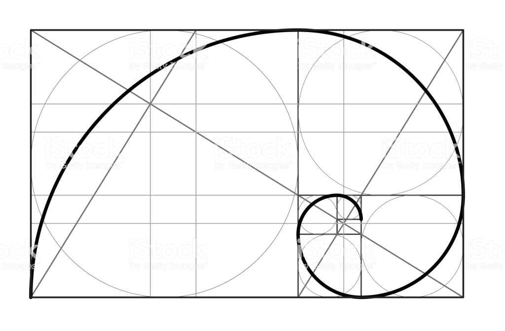 Yüz analizinde pi- altın oran değerlendirme yöntemi 7