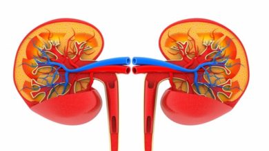 Kronik böbrek yetmezliği 11