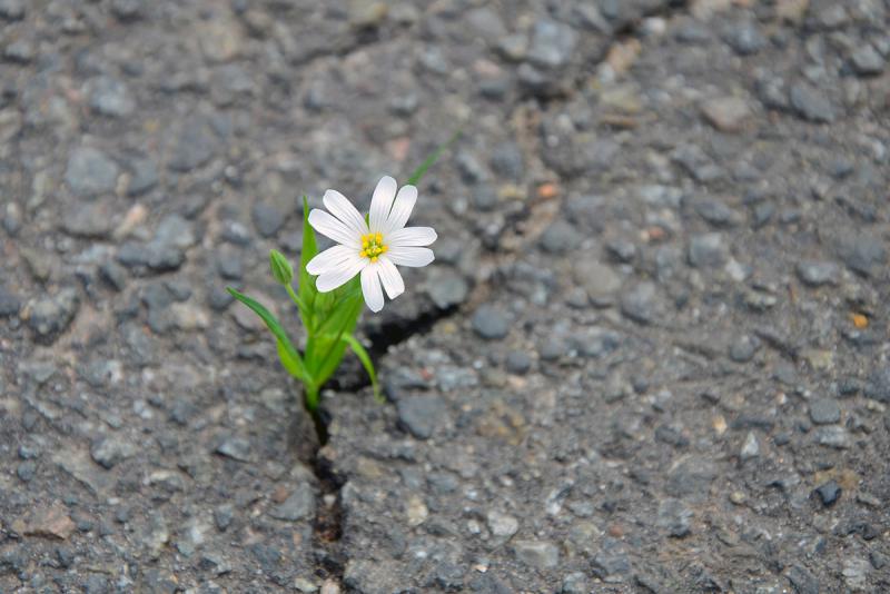 Çocuk ve ergenlerde psikolojik sağlamlığın önemi 7