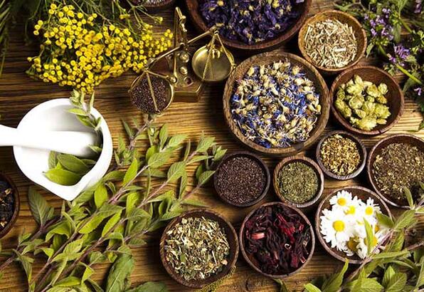 Fitoterapi (bitkisel tıp) nedir? 1
