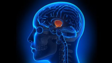 Hipofiz bezi hastalıkları 1