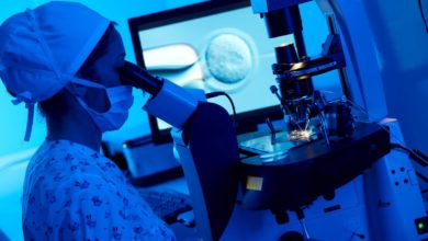 Pgd-preimplantasyon döneminde genetik tanı 1