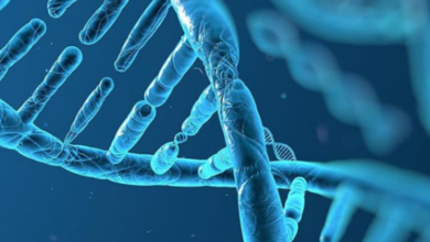 Genetik pedigri nedir? 7