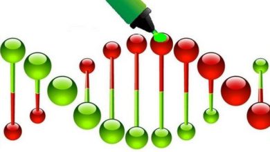 Genlerimiz ve hastalıklar 21