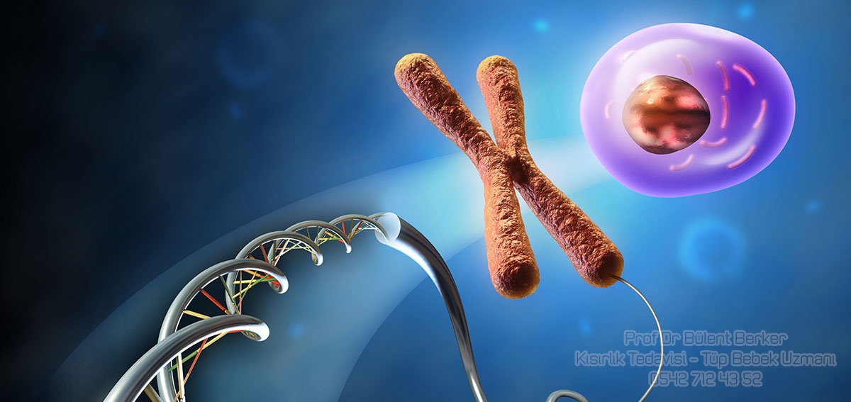 Ivf’de genetik tanı 7