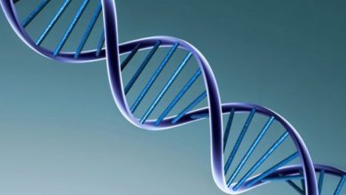 Genetik hastalıklar 9