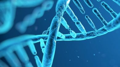 Genetik mühendisliğinin getirdikleri 1 21