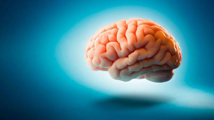 Beyniniz nasıl çalışır? Efsaneler ve gerçekler 6