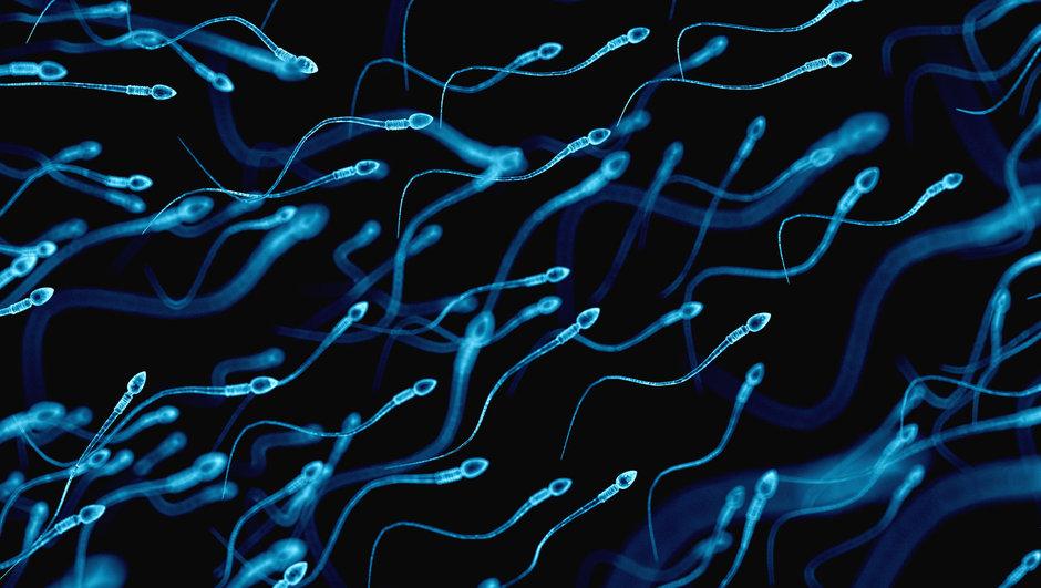 Erkekte iyi sperm bulma yöntemi — haber görseli