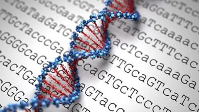 Genlerim düzgün çalışıyor mu? Nasıl test ederim? 1