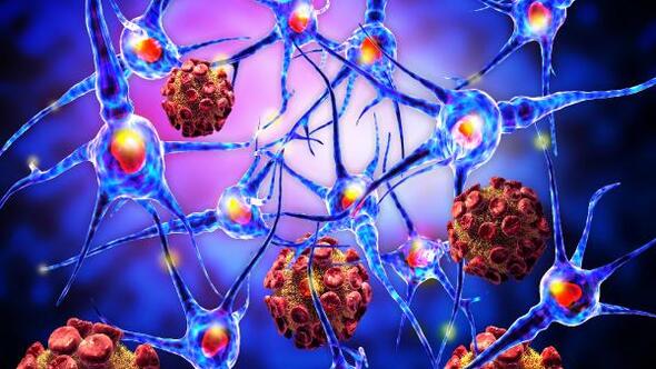 Ms li hastalarda yaşam kalitesi 6