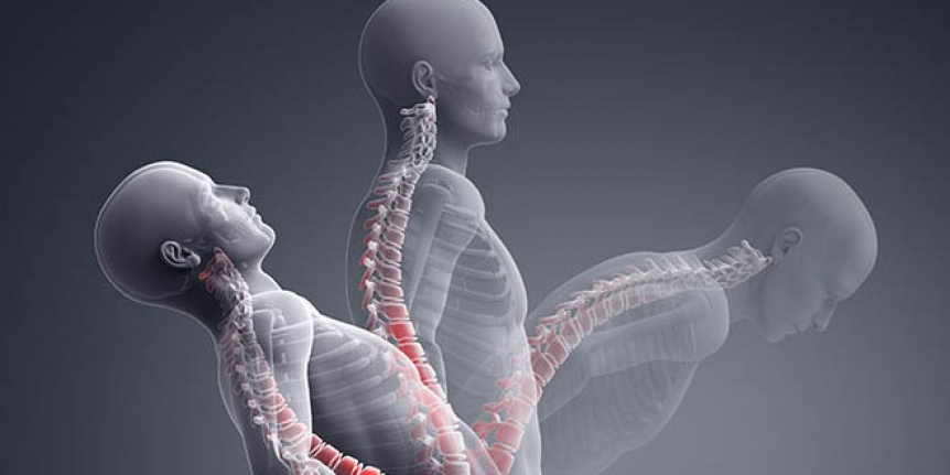 Omurga sağlığı 7