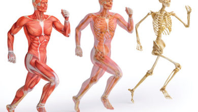 Kas-iskelet sistemi ağrılarına yaklaşımımız 5