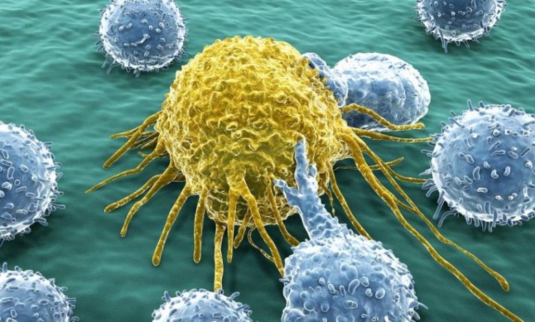 Beslenme ile kanser ilişkisi 1