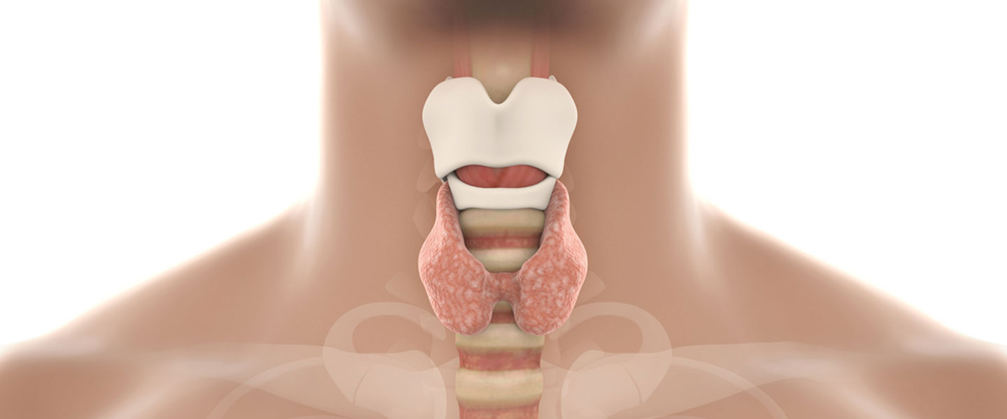 Larinks (gırtlak) kanseri 7