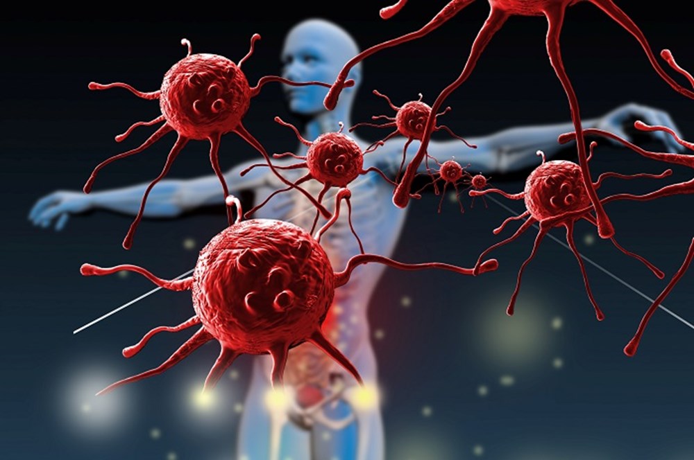 Bağışıklık sistemi 7