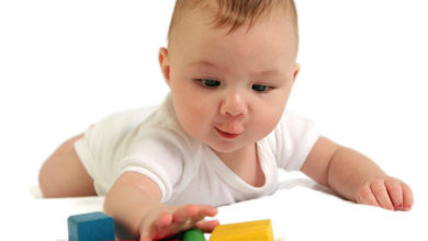 Bebek gelişiminde duyarlı dönemler hakkında 1