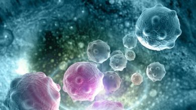 Prostat kanseri için biyopsi 1