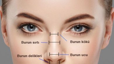 Burun fonksiyonları 1