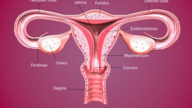 Serviks (rahim ağzı )kanserlerinde cerrahi tedavi 1