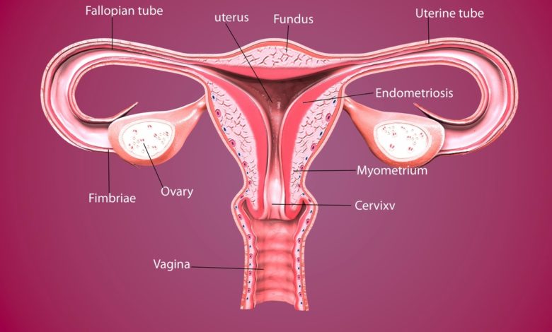 Serviks (rahim ağzı )kanserlerinde cerrahi tedavi 7