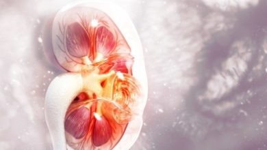 Böbrek kanseri hakkında bilinmesi gerekenler 1