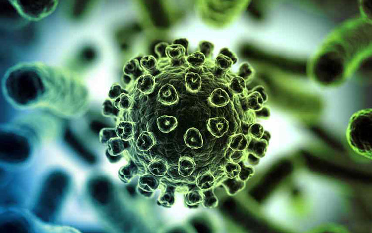 Koronavirüslü günlerde neler değişti ve değişecek? 1