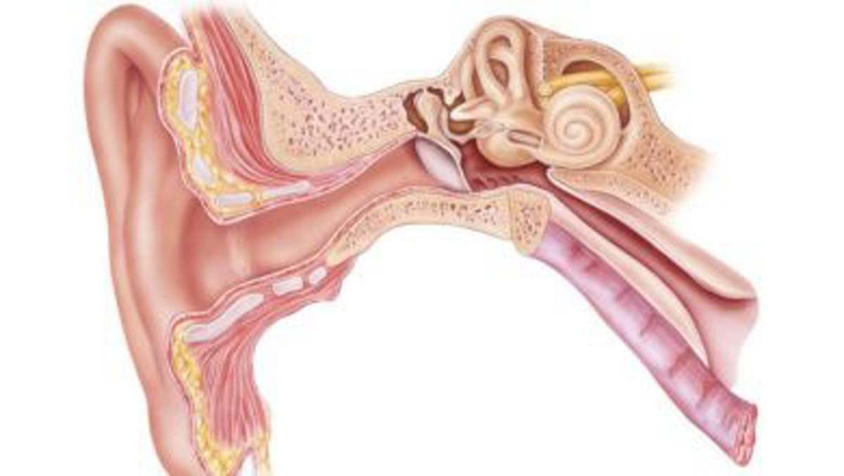 Kulak Tüpü – Ventilasyon Tüpü Nedir? 7
