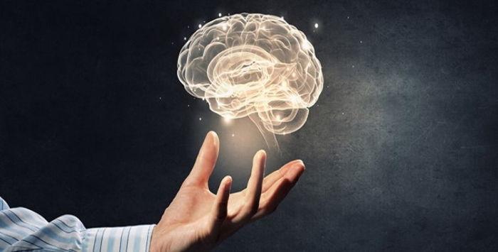 Koma, Bitkisel Hayat ve Beyin Ölümü Nedir? 1