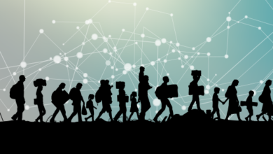 Göç ve İnsan Psikolojisi 13